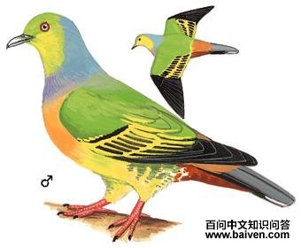 ��������ͼ��