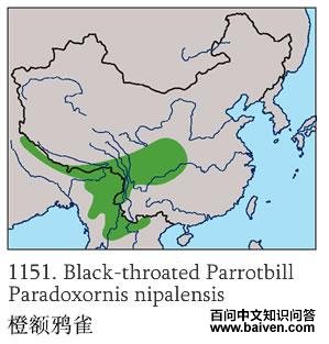 �ȶ�ѻȸ�ĵ����ֲ�ͼ