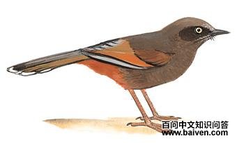 �ȳ����̵�ͼ��