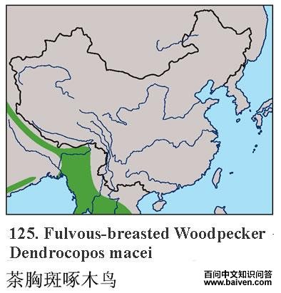 ���ذ���ľ��ĵ����ֲ�ͼ