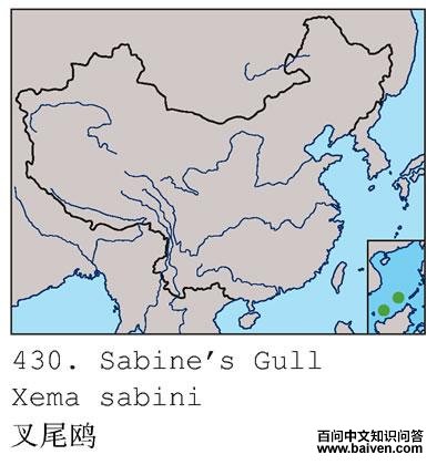 ��βŸ�ĵ����ֲ�ͼ