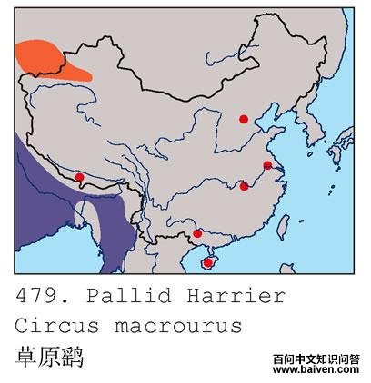 ��ԭ�εĵ����ֲ�ͼ