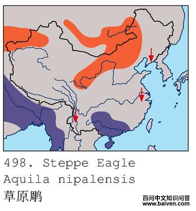 ��ԭ��ĵ����ֲ�ͼ