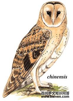 ���^��ͼ��