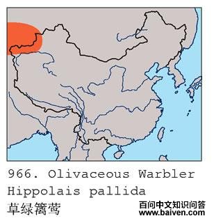 ������ݺ�ĵ����ֲ�ͼ