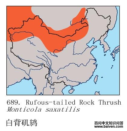 �ױ����ĵ����ֲ�ͼ