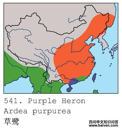 ���صĵ����ֲ�ͼ