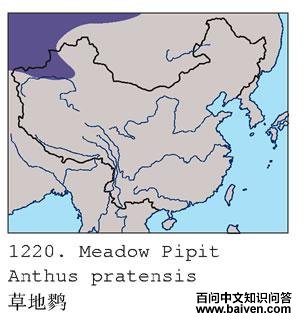 �ݵ��ҵĵ����ֲ�ͼ