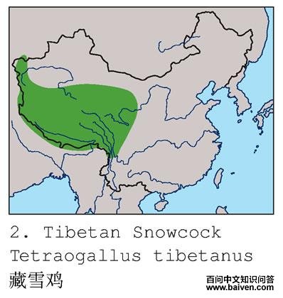 ��ѩ���ĵ����ֲ�ͼ