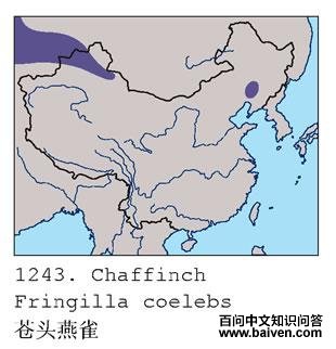 ��ͷ��ȸ�ĵ����ֲ�ͼ