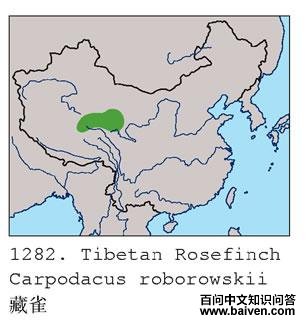 ��ȸ�ĵ����ֲ�ͼ