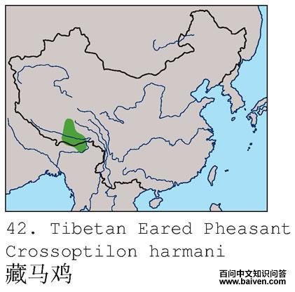 �������ĵ����ֲ�ͼ