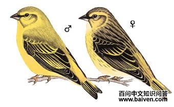 �ػ�ȸ��ͼ��