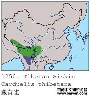 �ػ�ȸ�ĵ����ֲ�ͼ