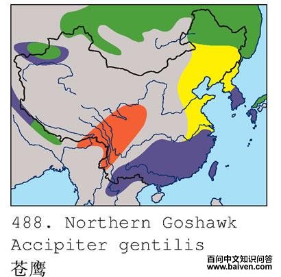 ��ӥ�ĵ����ֲ�ͼ