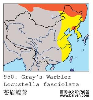 ��ü��ݺ�ĵ����ֲ�ͼ