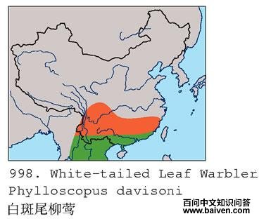 �װ�β��ݺ�ĵ����ֲ�ͼ