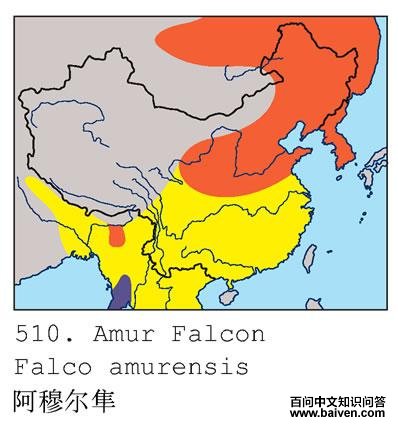 ���¶����ĵ����ֲ�ͼ