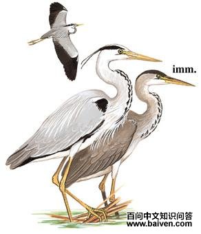 ���ص�ͼ��