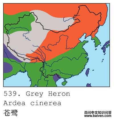 ���صĵ����ֲ�ͼ