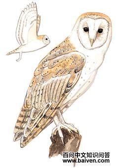 ���^��ͼ��