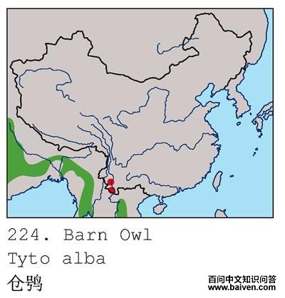 ���^�ĵ����ֲ�ͼ