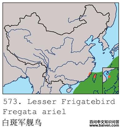 �װ߾�����ĵ����ֲ�ͼ