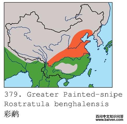 ���ֵĵ����ֲ�ͼ