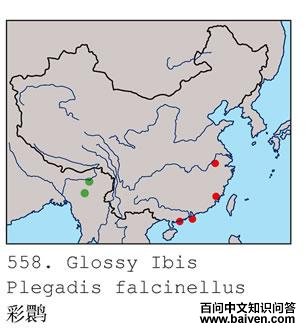 ���q�ĵ����ֲ�ͼ