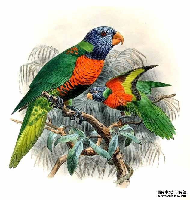 �ʺ����ĵ�ͼ��