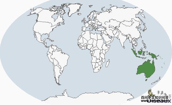 �ʺ����ĵĵ����ֲ�ͼ