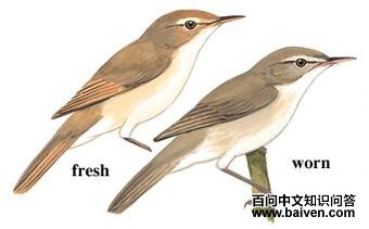 ����έݺ��ͼ��