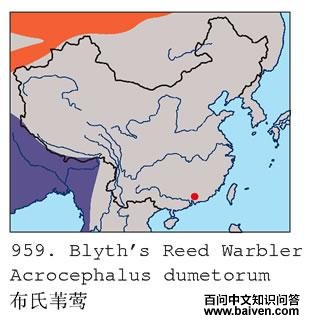 ����έݺ�ĵ����ֲ�ͼ