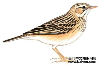 �������ҵ�ͼ��