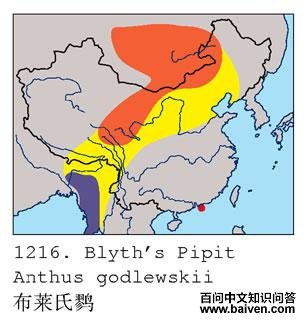 �������ҵĵ����ֲ�ͼ