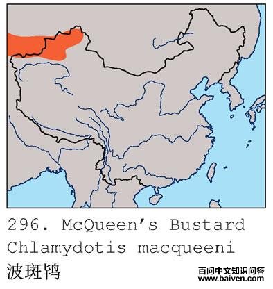 �����ĵ����ֲ�ͼ