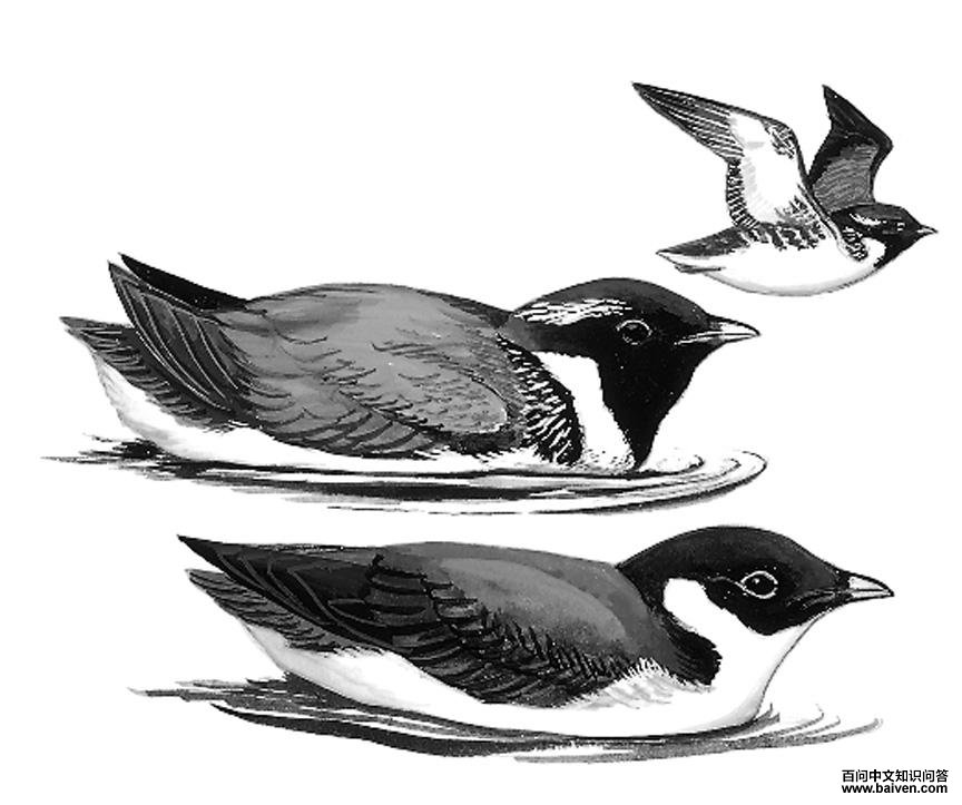 ���캣ȸ��ͼ��