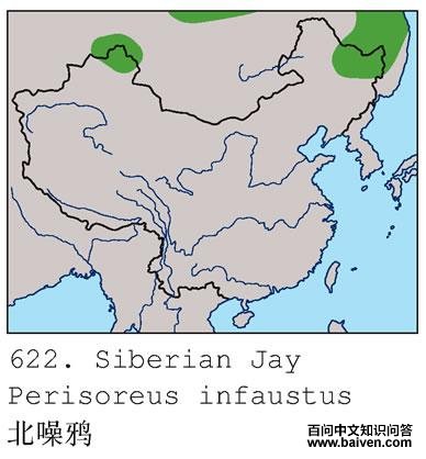 ����ѻ�ĵ����ֲ�ͼ