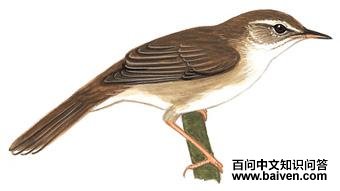 ����ݺ��ͼ��