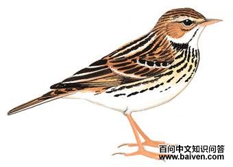 ���ҵ�ͼ��