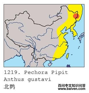 ���ҵĵ����ֲ�ͼ