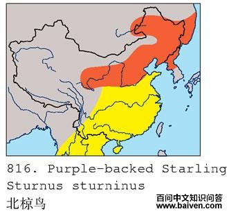 �����ĵ����ֲ�ͼ