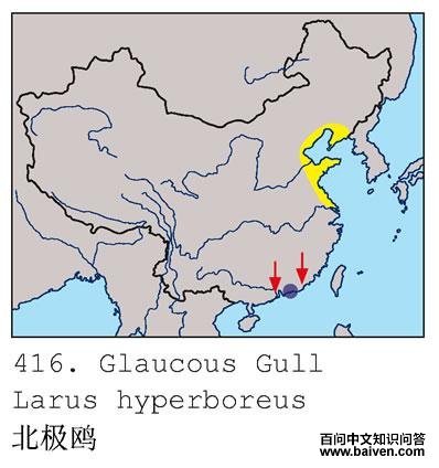 ����Ÿ�ĵ����ֲ�ͼ