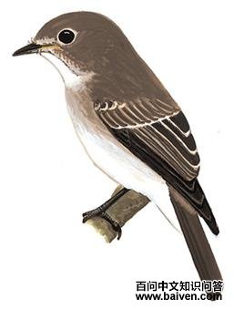 �����l��ͼ��