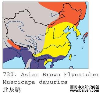 �����l�ĵ����ֲ�ͼ