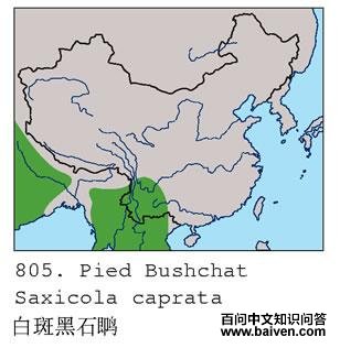 �װߺ�ʯ�S�ĵ����ֲ�ͼ