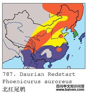 ����β�ĵ����ֲ�ͼ