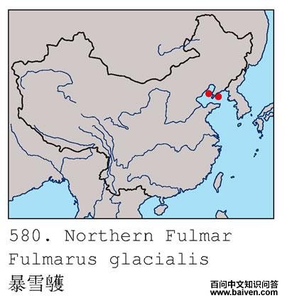 ��ѩ�׵ĵ����ֲ�ͼ