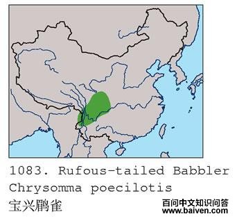 ������ȸ�ĵ����ֲ�ͼ