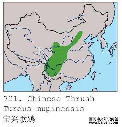 ���˸��ĵ����ֲ�ͼ